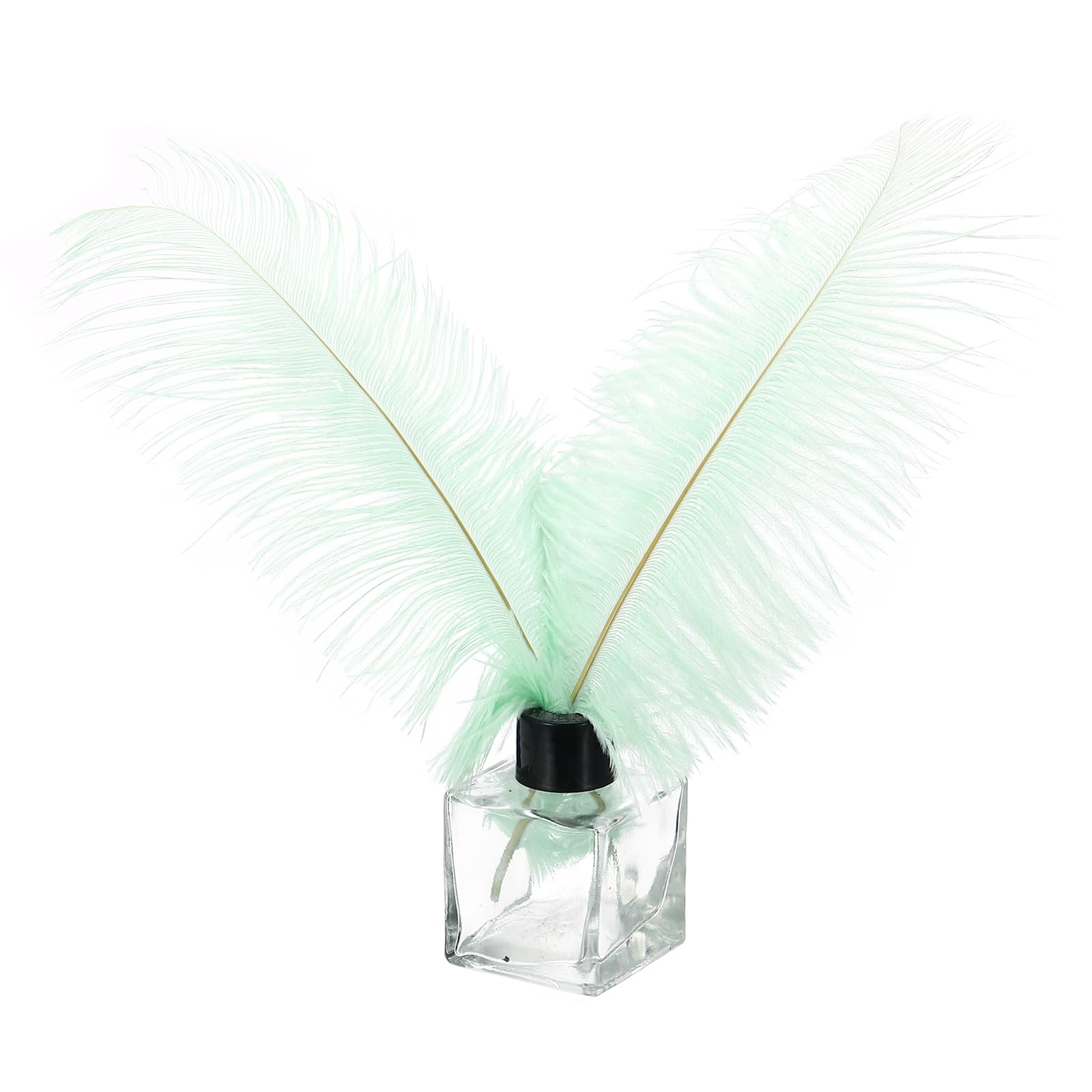 PATIKIL 30 Pcs Natural Ostrich Feathers Bulk 8-10 Inch/ 20-25 cm Large Ostrich Feathers for Crafts Home Decoration Wedding Party Vase Decor (Mint Green)