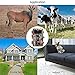 Trail Camera 16MP 1080P No Glow Night Vision, Game Camera with 2.4