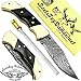 Buffalo Horn 5.5'' Custom Handmade Damascus Steel Double Brass Bloster with Sharpening Rod Folding Pocket Knife Back Lock 100% Prime Quality Come with Leather Sheath