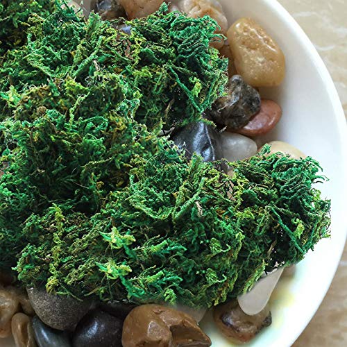 Timoo Fake Moss for Potted Plants Forest Preserved Moss Bulk Artificial