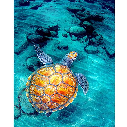 Norbi Painting With Diamonds, Small Turtle Embroidery Diamond by Number Kits Rhinestone Painting Cross Stitch Kit Wall Art Decor for Kids Adult Beginner