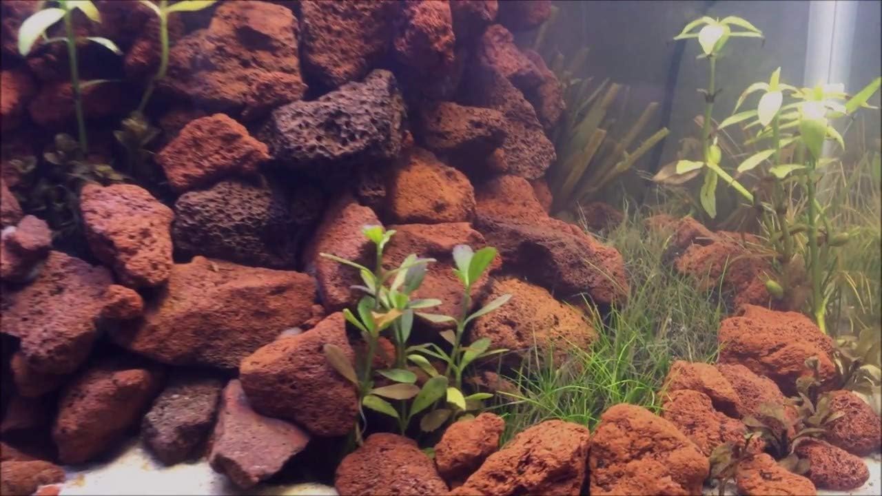 Natural Aquarium Bio Volcanic Lava Rocks, Pond Fish Tank Filter (7cm