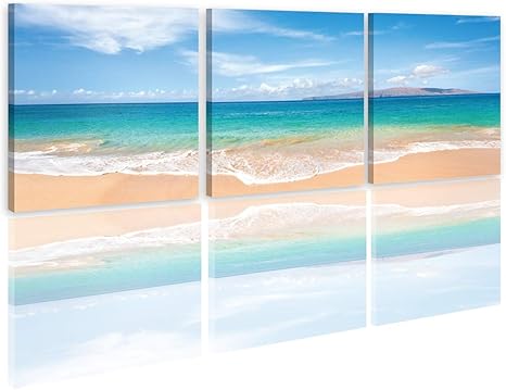 Amazon Co Jp Lbアートパネル ハワイ パネル 海 絵画 インテリア ヤシの木 青空 白雲 モダンアート キャンバス絵画 リゾート ポスター 海の景色 風景画 壁掛け 壁飾り フレーム付きの完成品 40 40cm 3pcs ホーム キッチン