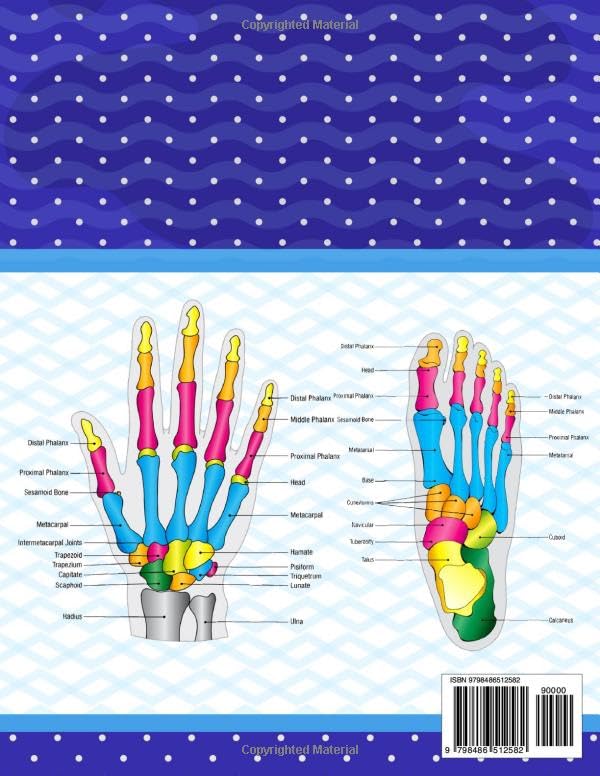 Human Bones Anatomy Coloring Book: Human Bones Anatomy Coloring Book For Kids Adults Boys Girls Teens and Medical Students. Great Book For Learn and ... Gift for Human Anatomy Students & Teachers.