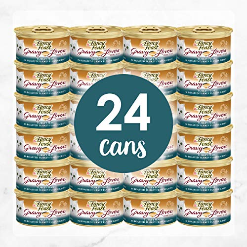 Purina Fancy Feast Gravy Wet Cat Food, Gravy Lovers Turkey Feast in Roasted Turkey Flavor Gravy - (2 - //medicalbooks.filipinodoctors.org