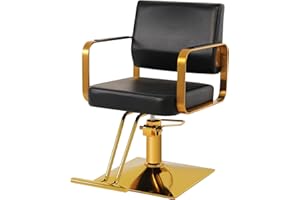 WINEDYOUNG Salon Chairs for Hair Stylist Chair Hydraulic Pump Hair Salon Chair 360 Degree Rotating Barber Chair, Spa Beauty Equipment for Hair Stylists, Tattoo Artists, Cosmetologists (Not Tilting)