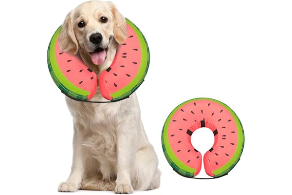 FAIRWIN Inflatable Dog Collar Recovery Cone for Medium Waterproof Elizabethan Pillow Blow Up Pet Cone Collar Surgery Donut Co