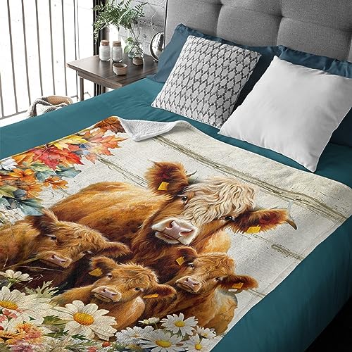 Highland Cow Throw Blanket Gift for Girls Boys Flower Blanket Gift for Kids Super Soft Lightweight Flannel Pumpkin Blankets for Bed Sofa Couch 40x50Inch