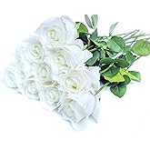 SYFASHRAN 10 Single 26inch Real Touch Artificial Roses - Long Stem Fake Silk Flowers with Leaves, Looking Real, for Tall vase, Wedding, Home Decor, Centerpieces, Office Party, (10,wht)