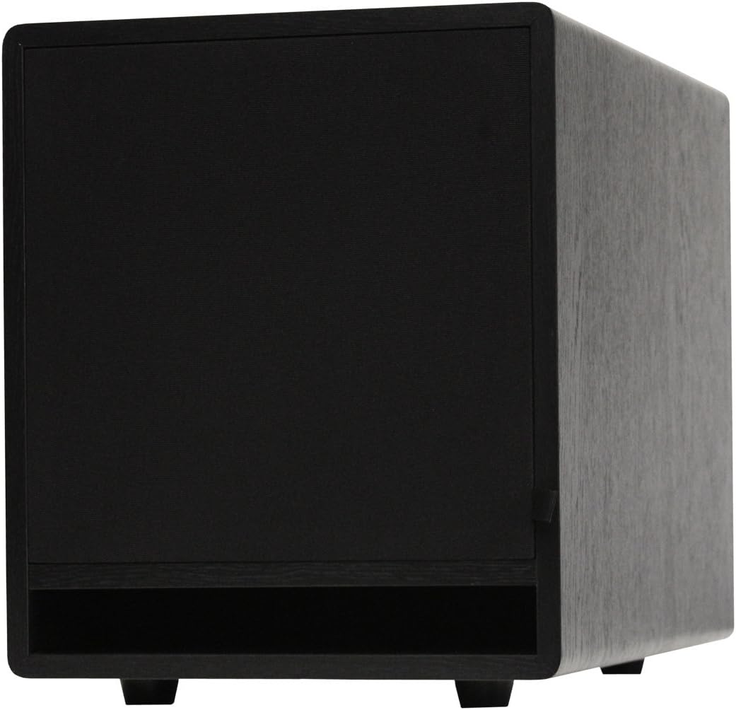 Best 12 Inch Subwoofers Home Theater Home Appliances