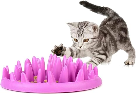 Amazon Com Dlico Cat Catch Interactive Feeder Bowl Slow Feed