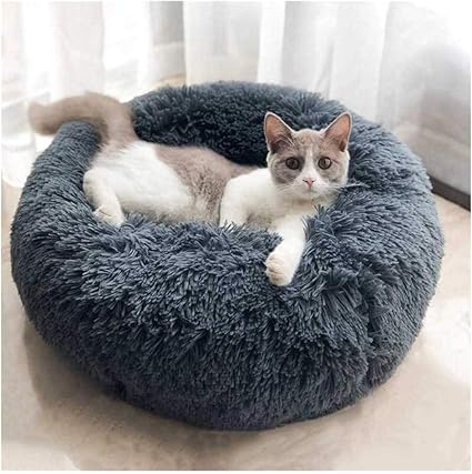 Abenxxou Panier Pour Chat Chien Coussin Rond Chat Lit Chaud Moelleux De Chien Chat Donut Lavable Pour Chiot L 60x60cm Pet Below 10kg Gris Foncé