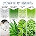 All Natural Mouthwash - Made in USA - REMOVES BAD BREATH and TOOTH PLAQUE - Best Alcohol Free Oral Rinse for Tartar Defense, Fresher Breath, and Healthier Gums - Mint Flavor.  