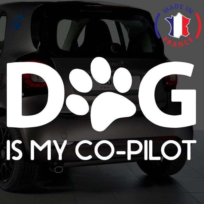 Anakiss Sticker Bebe A Bord Pour Voiture Pilote A Bord Cm Blanc