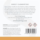 Fosse Living Sweet Clementine Wax Melts 16pc Vegan Natural UK Handmade view 6
