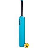 beach cricket set target
