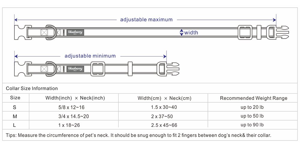 送料無料 Blueberry Pet ブルーベリーペット パステルカラー首輪 ラベンダー 2 5cm 大型犬 B0197ptm0w オレンジ 大型犬 2 5cm X 45 66cm 大型犬 2 5cm X 45 66cm オレンジ 気質アップ Hbrilho Com Br