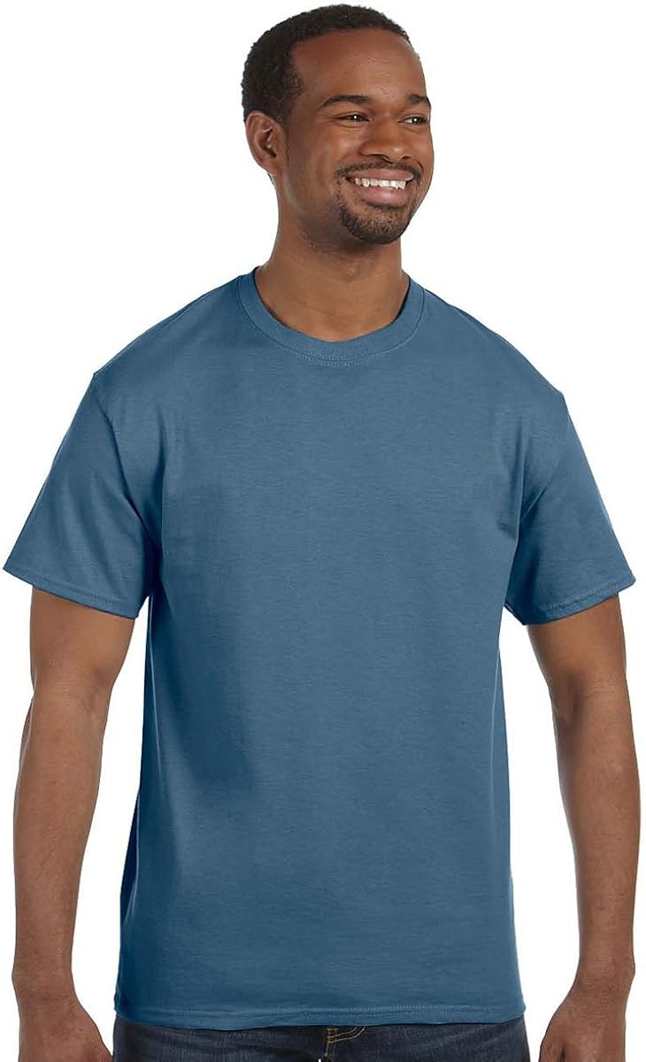 Best mens t shirts crew hanes lg
