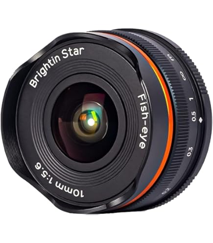 Amazon.com : Tokina ATXAF107DXC 10-17mm f/3.5-4.5 AF DX Fisheye