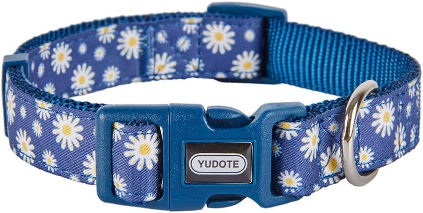 designer dog collars for large dogs