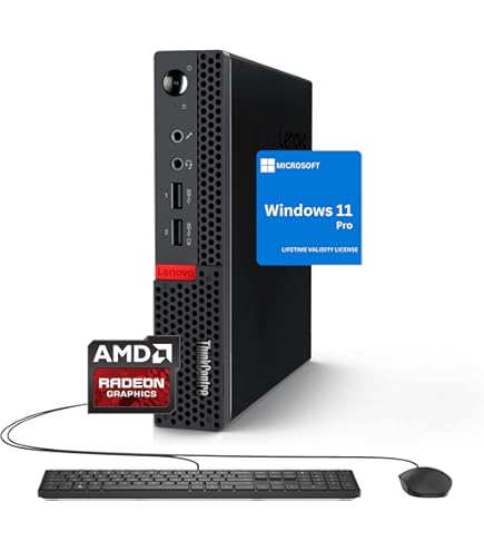 Amazon.com: Lenovo ThinkCentre Mini Business Desktop, AMD Dual