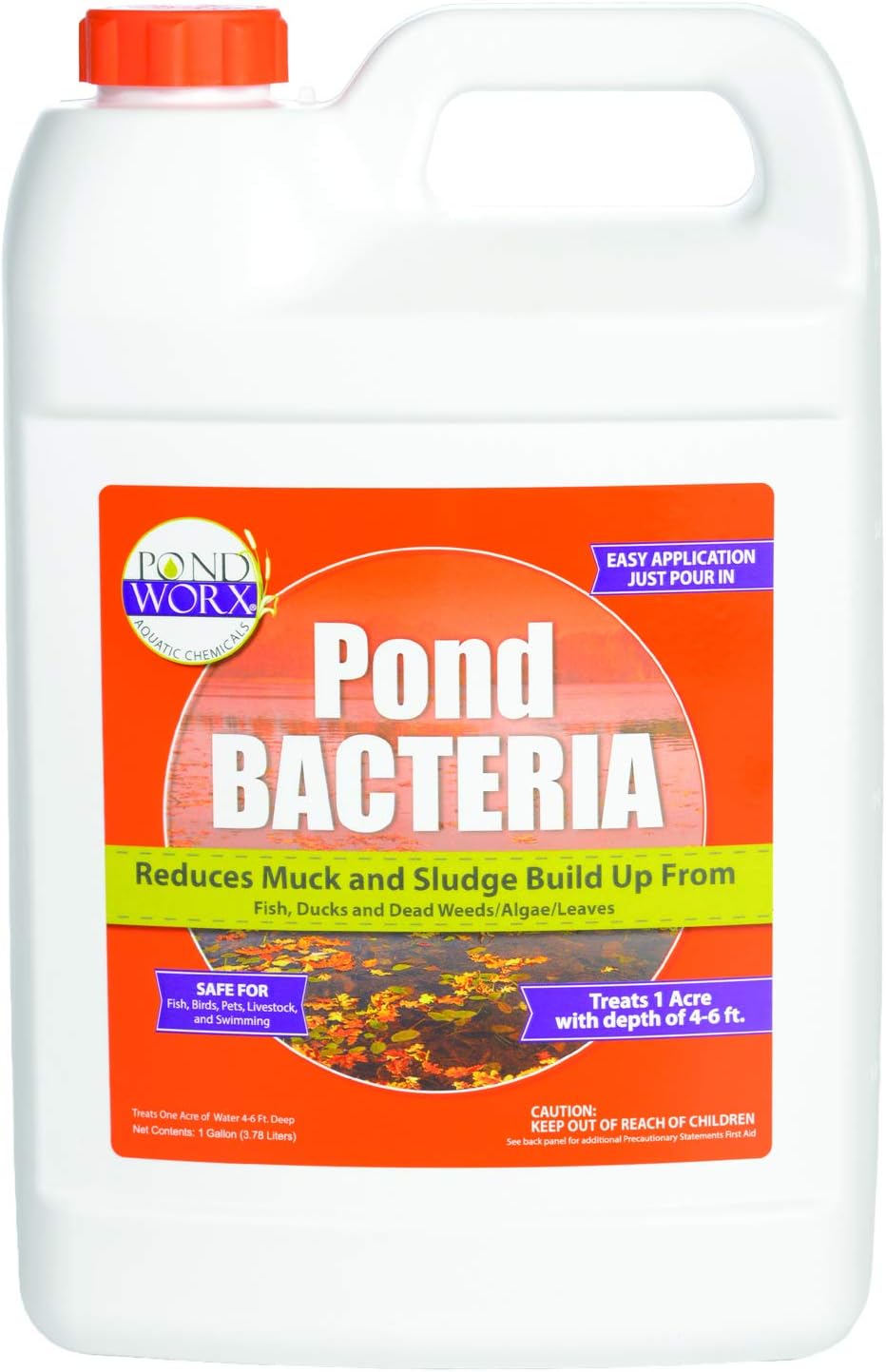 PondWorx Pond Bacteria - Formulated for Large Ponds, Water Features and Safe for Koi - 1 Gallon : Garden & Outdoor
