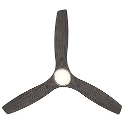 Skylark Smart Indoor and Outdoor 3-Blade Ceiling