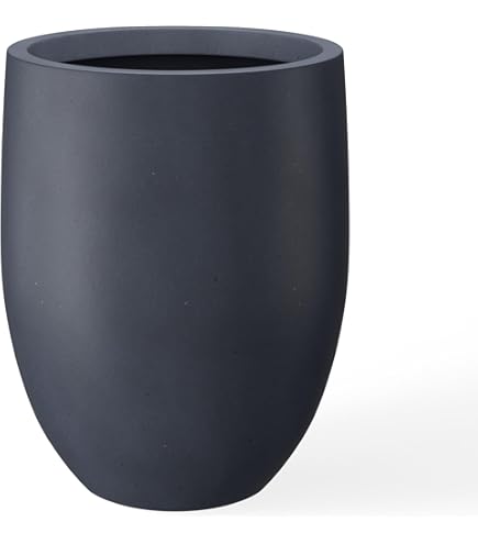 我谷風盆　約32cm×約22.5cm×約3.5cm 71h72CynR1L._AC_UF350,