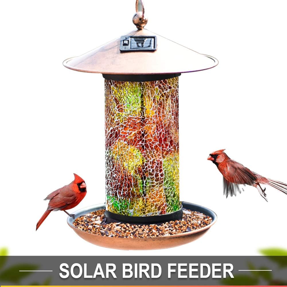 Amazon Com Xdw Gifts Solar Bird Feeder For Outside Hanger
