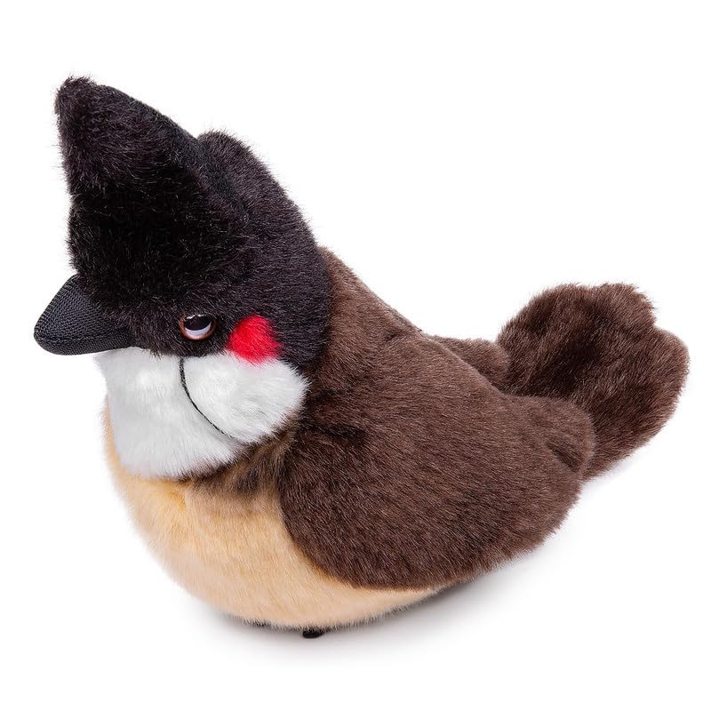 Red-whiskered Bulbul