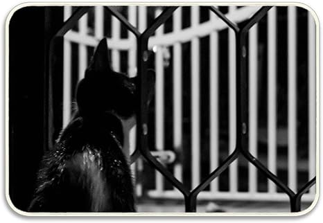 Amazon 40 60cm フロアマット 掃除 玄関 マット 屋内 ガレージマット 丸洗い 滑り止め インテリア おしゃれ かっこいい 猫動物モノクロ 玄関マット オンライン通販