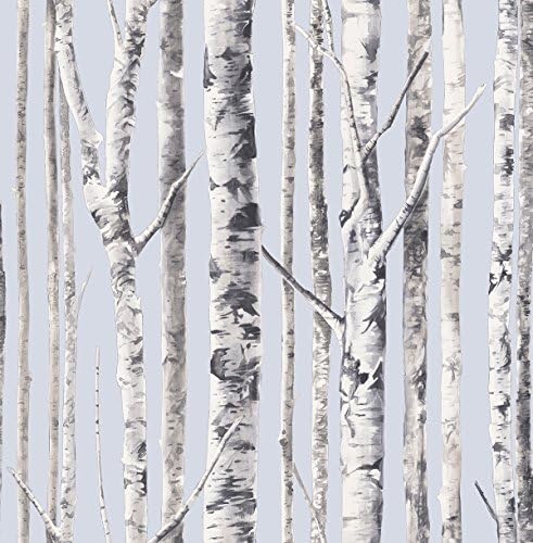 Birch Blue Wallpaper White Trees Whimsical Forest Perfect in Bedroom