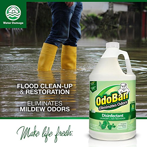 4 OdoBan+Disinfectant+Eliminator+Concentrate+Eucalyptus