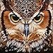 UPMALL DIY 5D Diamond Painting by Number Kits, Full Drill Crystal Rhinestone Embroidery Pictures Arts Craft for Home Wall Decoration OWL 15.75×11.81 inches