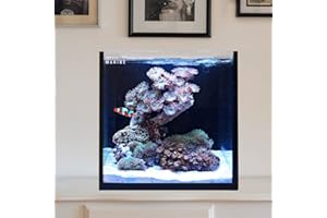 Innovative Marine Starter Kit Aquariums (15 Gallon Cube)