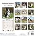 Australian Shepherd Calendar 2017 - Dog Breed Calendars - 2016 - 2017 wall calendars - 16 Month by Avonside