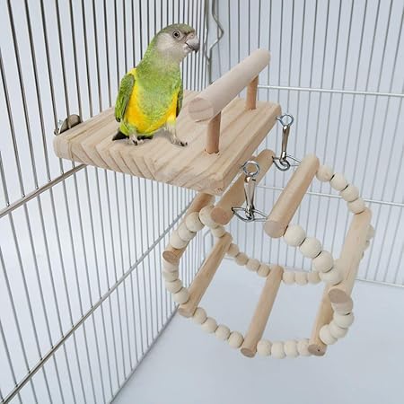 hanging parrot play gym