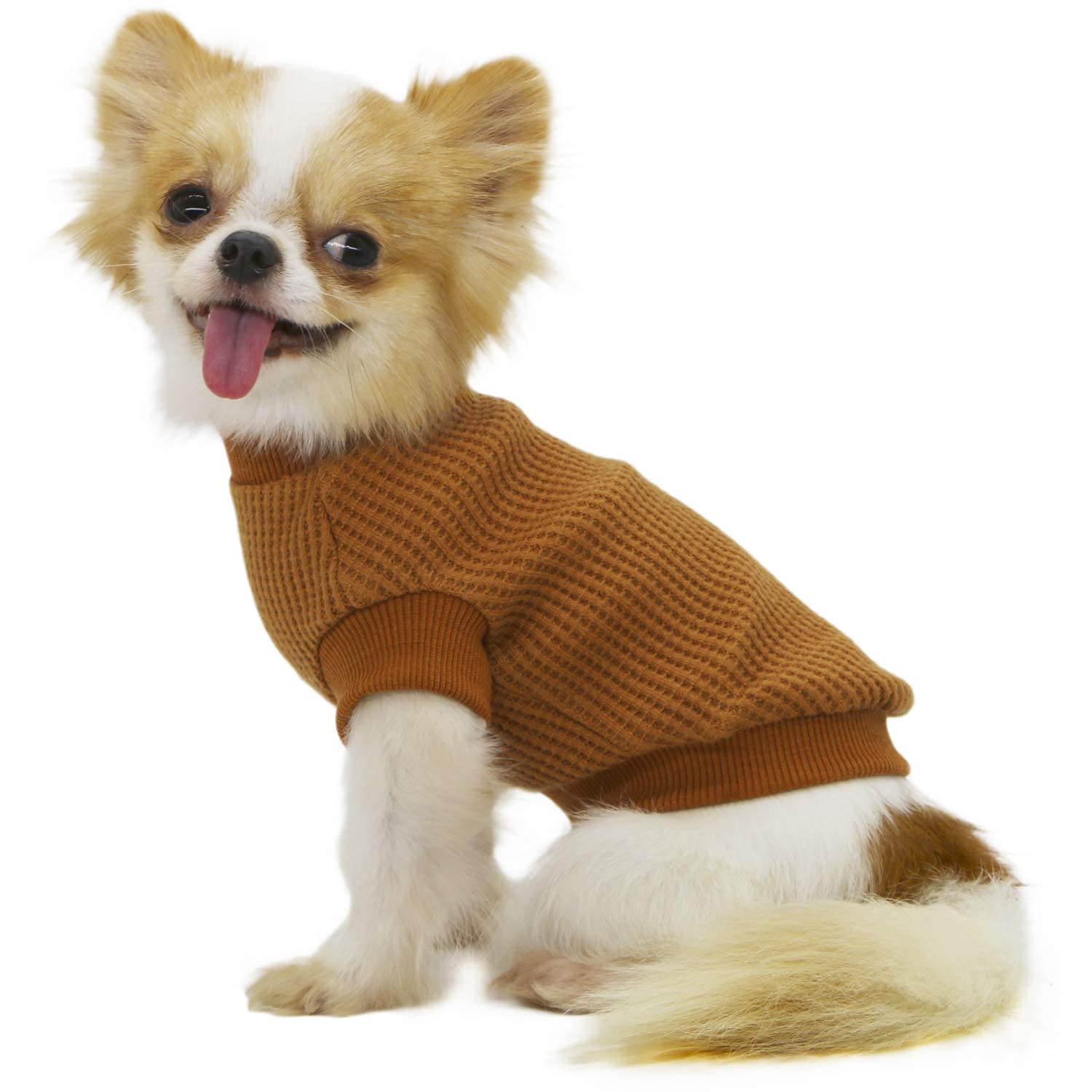 LOPHIPETS Dog Sweaters for Puppy Small Dogs Puppy Chihuahua Yorkie Clothes Cold Weather Coat-Yellow/S