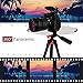 DOFLY Camera Tripod 42-Inch Digital SLR Camera Aluminum Travel Portable Tripod for All Canon Sony, Nikon, Samsung, Panasonic, Olympus, Kodak, Fuji, Cameras Devices with Carry Bag