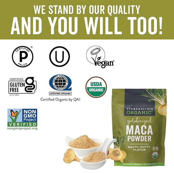 VIVA NATURALS ORGANIC MACA POWDER, GELATINIZED, 8 OZ – VEGAN, USDA ORGANIC, GLUTEN-FREE, NON-GMO PERUVIAN SUPERFOOD IN RESEALABLE BAG