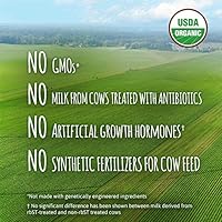 gerber natura organic infant formula with iron