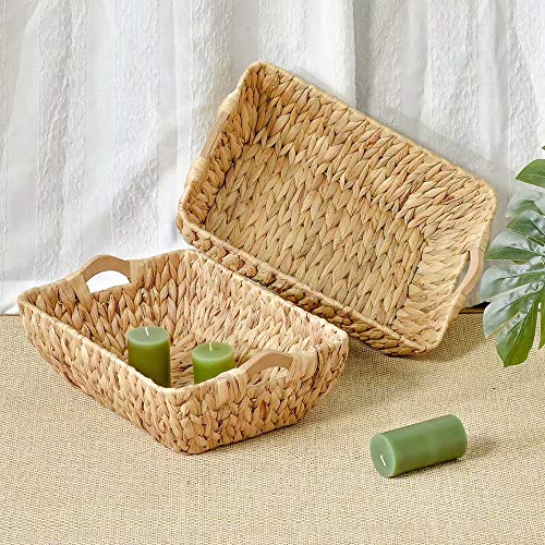 61O5yQmEvbL 61O5yQmEvbL