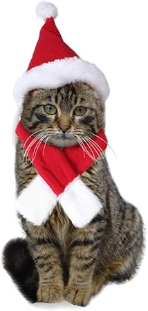 Immagini Natalizie Gatti.Petchute Costume Natalizio Per Gatto E Cucciolo Cappello Natalizio Sciarpa Per Gatti Vestito Da Babbo Natale Amazon It Casa E Cucina