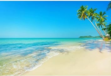 Download Tropical paradise tropical happy birthday beaches images For Android Free