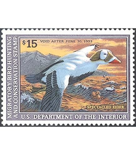 Scott RW41 $5 Federal Duck Stamp - Mint Very Fine, Never Been Hinged (NH) - Collectible USPS Wildlife Stamp - View #3