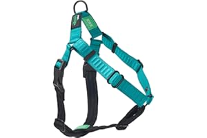 Rover Gear Better Walk No-Pull Dog Harness, Teal, Large – Stay in Control with Adjustable, Comfortable, Easy to Wear, & Durable Dog Harness – Ideal for Large Dogs 60-90lb