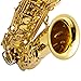 Costzon Alto Saxophone, E-Flat Gold Lacquer Finish, High F Key, Full Set Accessories with Carry Case, Neck Straps, Mouthpiece, Cork Grease, Reed, Cleaning Cloth Rod, Gloves for Beginner Student