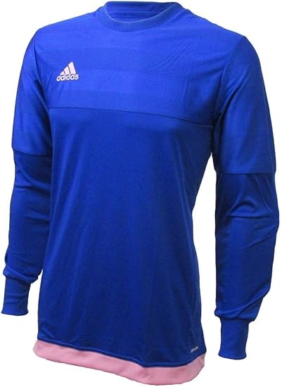 adidas entry 15 goalkeeper jersey