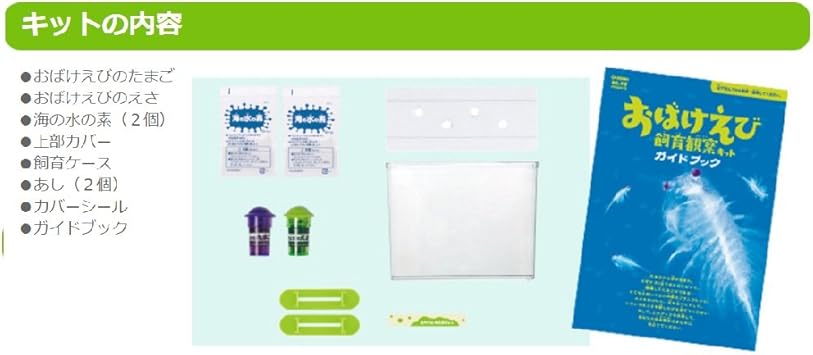 Amazon おばけえび飼育観察キット 生態 採集 おもちゃ