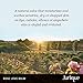 Moisturizing Lip Balm - Jurlique: Rose Love Balm - 0.5 oz - Moisturizes and Protects Dry Skin, Hydrates and Softens With Olive Oil and Safflower Seed Oil, Infused With The Natural Scent of Roses